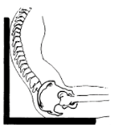 Posterior pelvic tilt line art