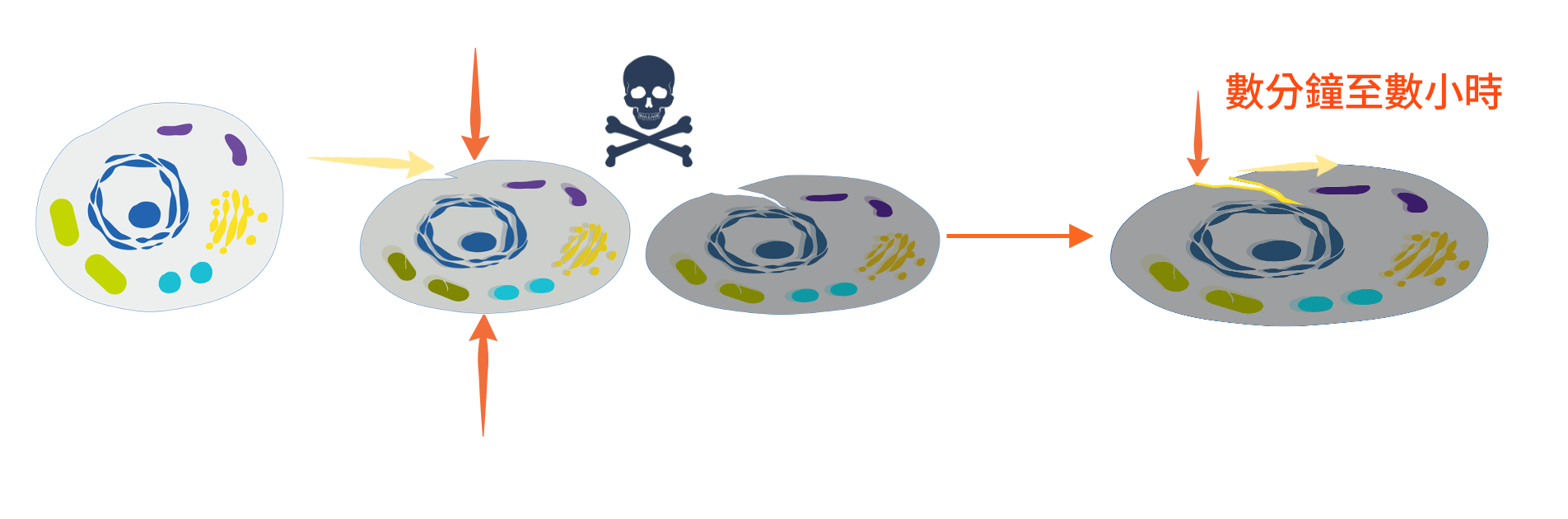 APAC TW - Nov Skin Protection Blog Image